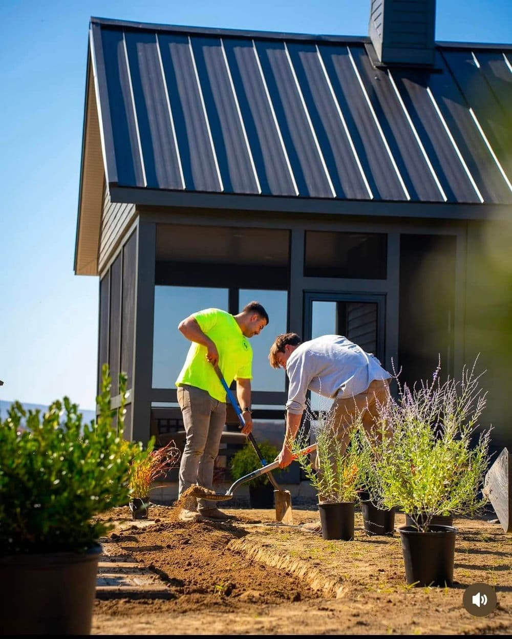 Two landscapers planting shrubs near a modern house with a metal roof on a sunny day.