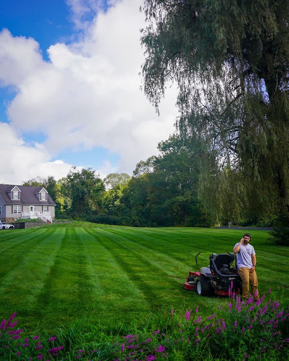 Man mowing a striped lawn near a house with a tree and purple flowers. Clear blue sky.